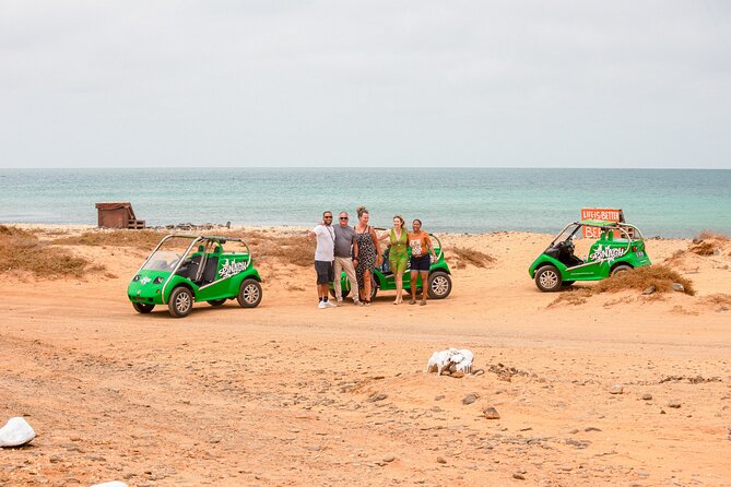 Private Guided Tour of Sal Island | Electric Car with Audio Guide - Key highlights worth your attention