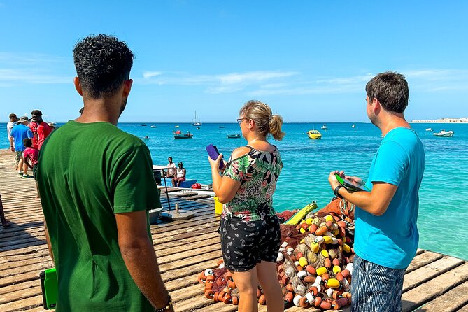 Private Guided Tour of Sal Island | Electric Car with Audio Guide - Ponta do Sinó: the southern tip stop for turtles, birds, and lighthouse views