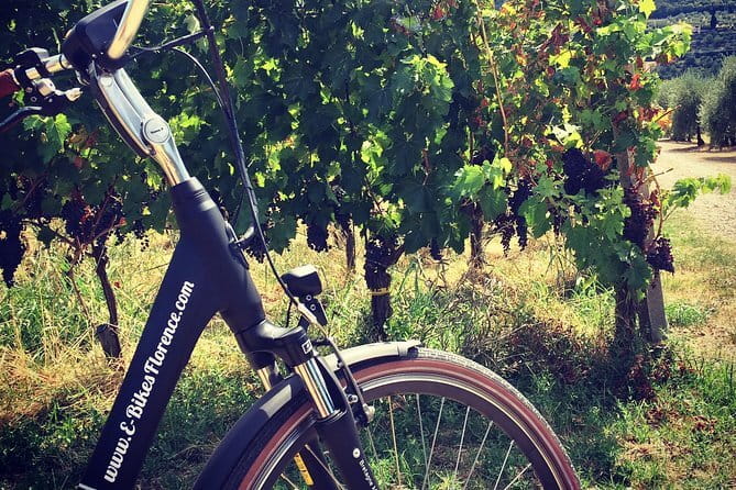 Private Self-Guided E-Bike Ride in Tuscany with Vineyard Visit - Key highlights to know before you go