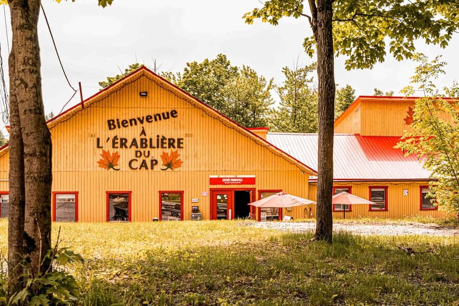 Quebec City (Lévis): self-guided sugar shack tour + meal + maple taffy - The workshop and screening: what sap becomes
