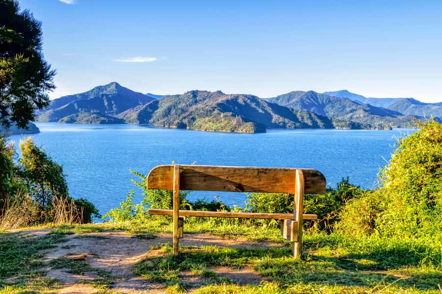 Queen Charlotte Track: Cruise & Self-Guided Hike from Picton - Choosing your hike: 12.7 km to Punga Cove or 17 km to Furneaux Lodge
