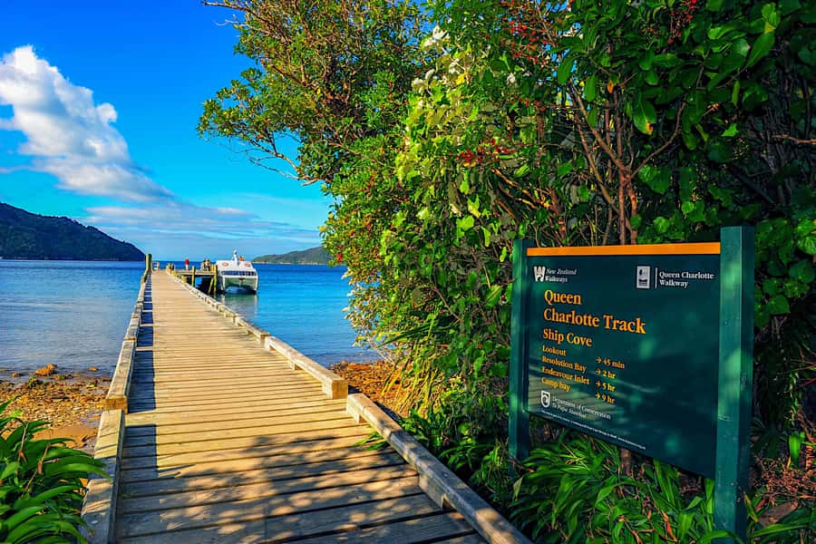 Queen Charlotte Track: Cruise & Self-Guided Hike from Picton - Coffee, beer, and breaks at the end points