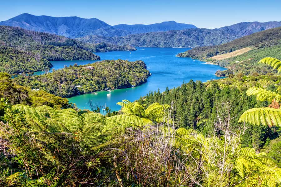 Queen Charlotte Track: Cruise & Self-Guided Hike from Picton - Ship Cove: the Cook-era anchorage and your orientation moment