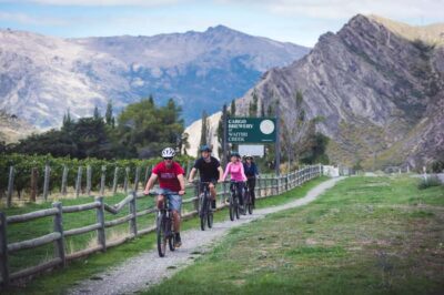Queenstown: Self-Guided Gibbston Valley Wineries Bike Tour - Getting your bike and briefing: how you navigate the day on your own