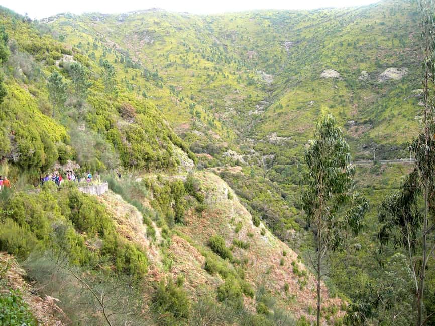 Rabaçal: 25 Fontes & Risco Levada Transfer Self-guided Hike - Key Things to Know Before You Go