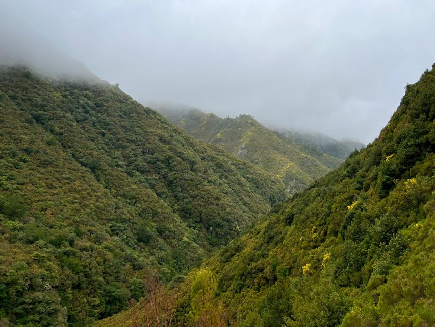 Rabaçal: 25 Fontes & Risco Levada Transfer Self-guided Hike - How the 8-Hour Day Works: The 5 Hours on the Trail