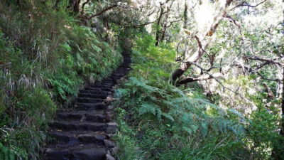 Rabaçal: 25 Fontes & Risco Levada Transfer Self-guided Hike - Price and Value: What You’re Paying For (and What You Still Need to Budget)