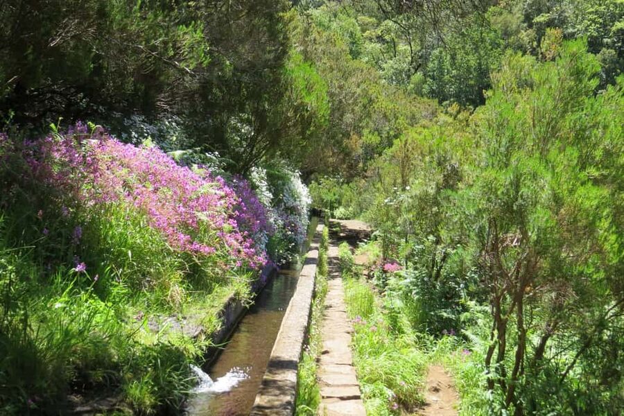 Rabaçal: 25 Fontes & Risco Levada Transfer Self-guided Hike - Getting There From Funchal: Shared Van Pickup Without the Headache
