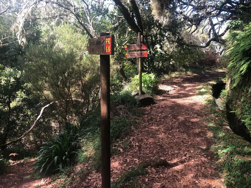 Rabaçal: 25 Fontes & Risco Levada Transfer Self-guided Hike - What You’ll Actually See: 25 Fontes Waterfall Flow and Levadas