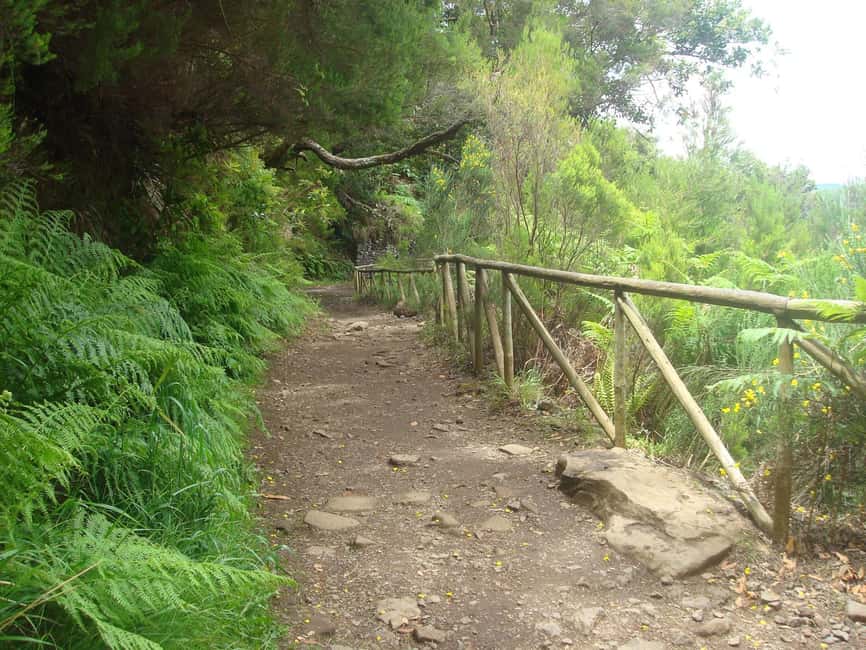 Rabaçal: 25 Fontes & Risco Levada Transfer Self-guided Hike - Risco Levada: The Waterfall Walk That People Don’t Skip