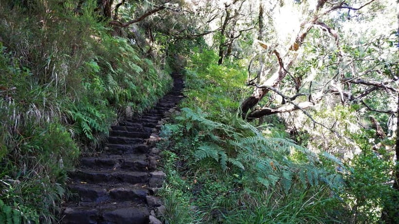 Rabaçal: 25 Fontes & Risco Levada Transfer Self-guided Hike - Price and Value: What You’re Paying For (and What You Still Need to Budget)