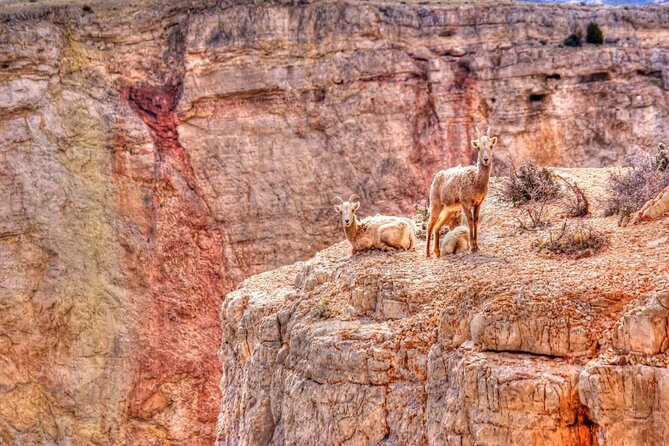 Red Rock Canyon Self-Guided Driving Audio Tour - The logistics you should not ignore: hours and timed entry