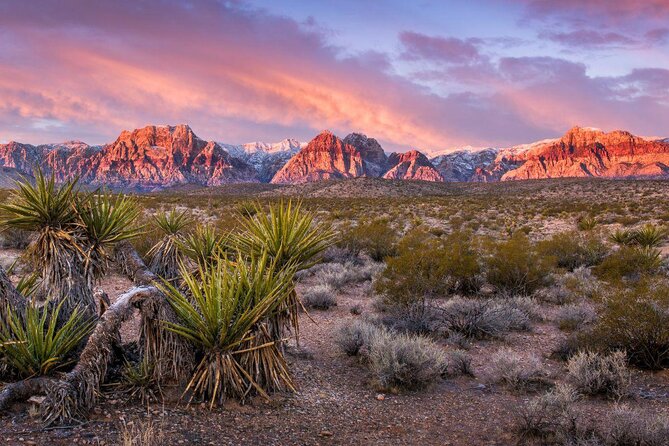 Red Rock Canyon Self-Guided Electric Bike Tour - Key points to know before you pedal