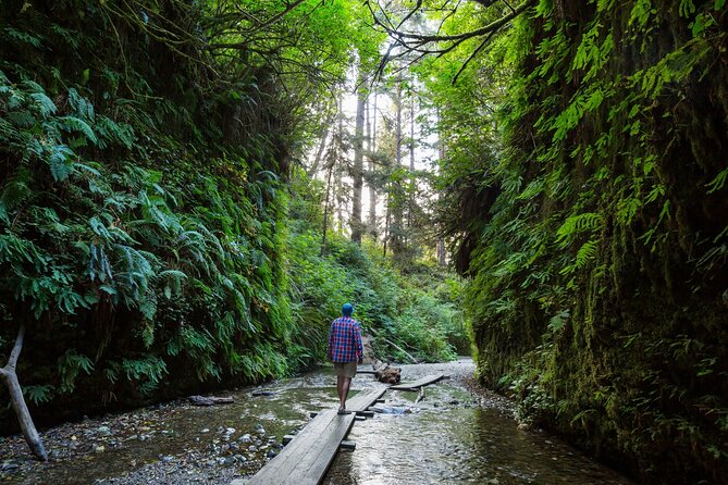 Redwood National Park Self-Guided Audio Tour - Prairie Creek Redwoods State Park and the “trail loop” strategy