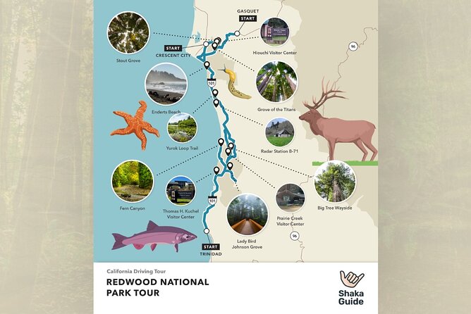 Redwood National Park Self-Guided Audio Tour - Price, value, and where you may spend extra money