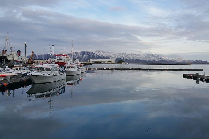 Reykjavik Main Sights and Hidden Spots: A Self-Guided Audio Walk - Getting Oriented Fast: Hallgrímskirkja and Its Story
