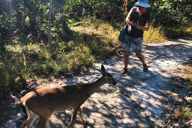 Road Trip through the Lower Keys Audio Tour - Stop 5: Seven Mile Bridge for walking, biking, and fishing-style views