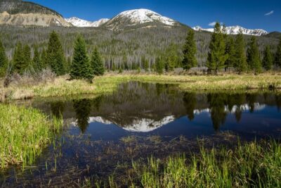 Rocky Mountain National Park Self-Guided Driving Audio Tour - How this audio tour actually works in the car