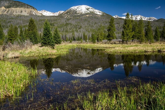 Rocky Mountain National Park Self-Guided Driving Audio Tour - How this audio tour actually works in the car