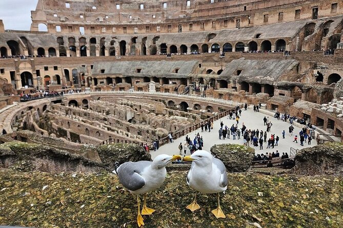 Rome: Colosseum, Roman Forum & Palatine Hill Visit + Audio Guide - The Audio Guide Reality Check: Internet, Headphones, and Phone Skills