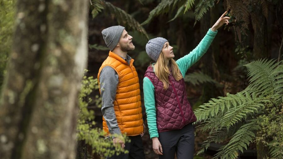 Rotorua: Waimangu Volcanic Valley Ticket & Self-Guided Walk - What’s included, what’s not, and how to plan your day