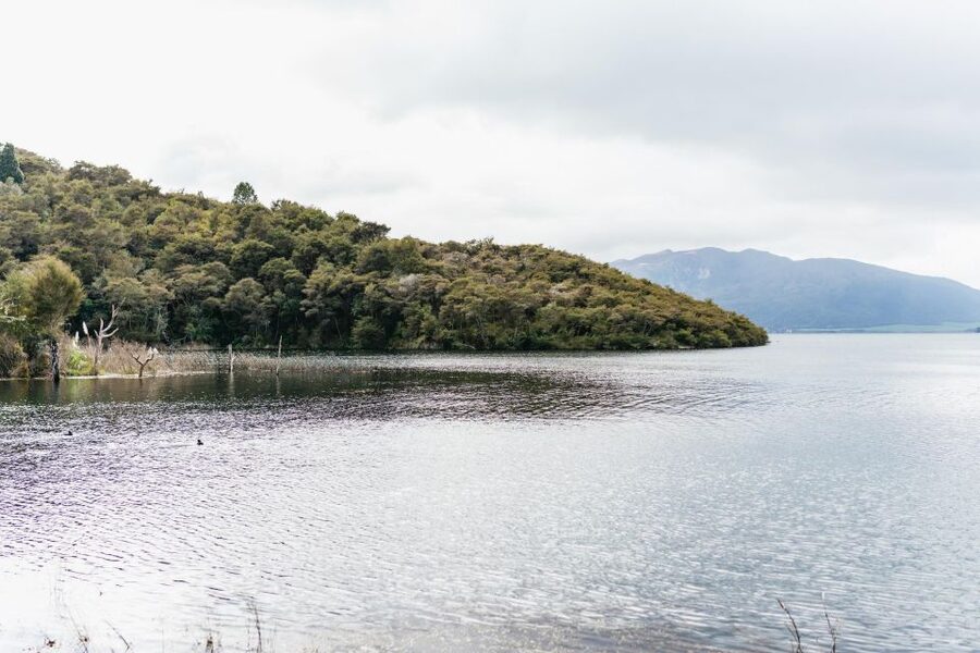 Rotorua: Waimangu Volcanic Valley Ticket & Self-Guided Walk - Arriving at Waimangu Visitor Centre: where your day starts