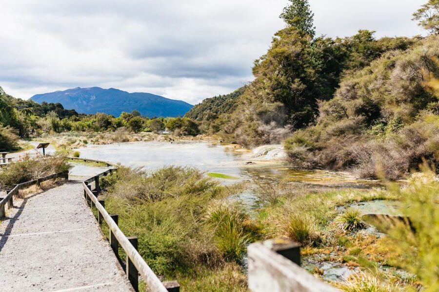 Rotorua: Waimangu Volcanic Valley Ticket & Self-Guided Walk - Frying Pan Lake views and the geothermal details you can feel