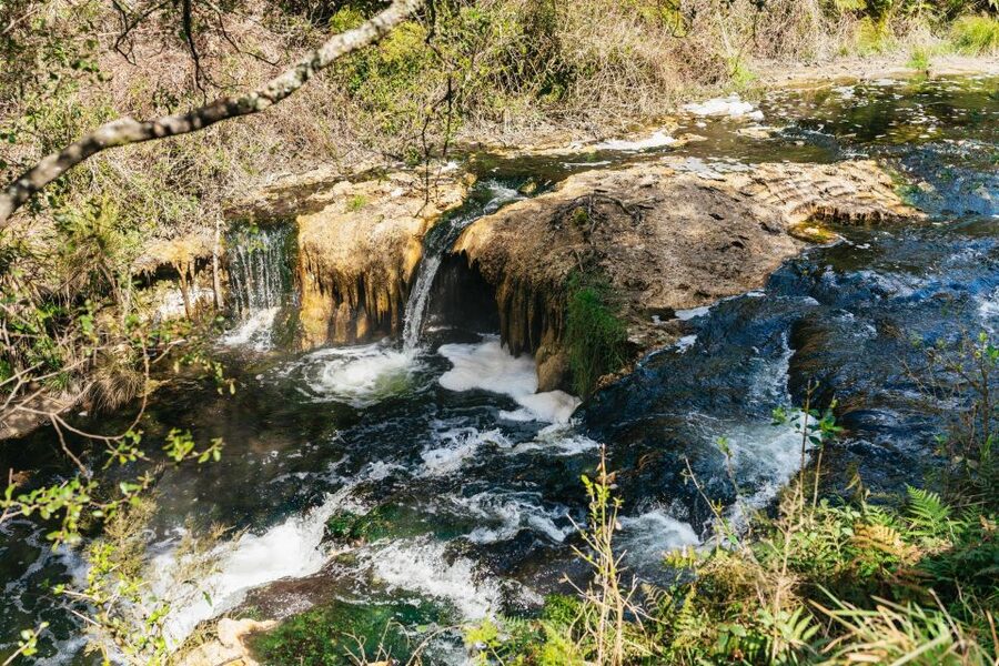 Rotorua: Waimangu Volcanic Valley Ticket & Self-Guided Walk - Price and value: is the $38 ticket worth it?