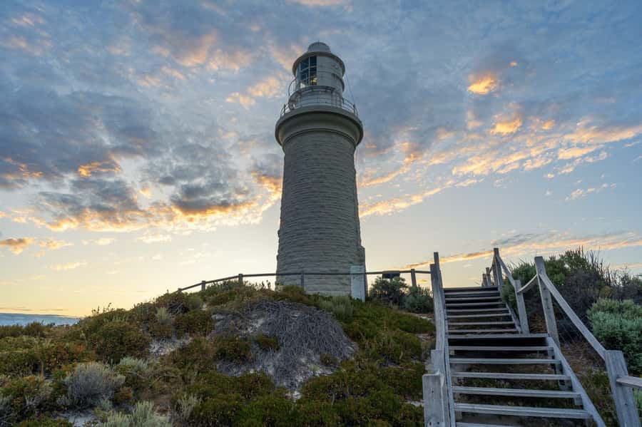 Rottnest Island - E-Rickshaw Tour with private guide - The lighthouse-to-lighthouse route across the island