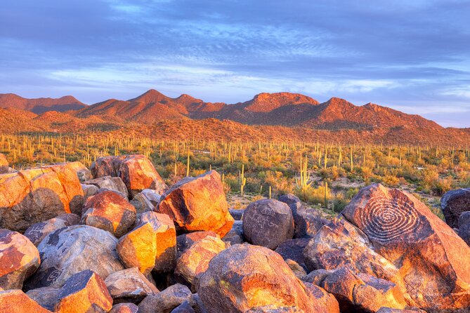 Saguaro National Park Self-Guided Audio Tour - Why this GPS audio route feels easier than a do-it-yourself day