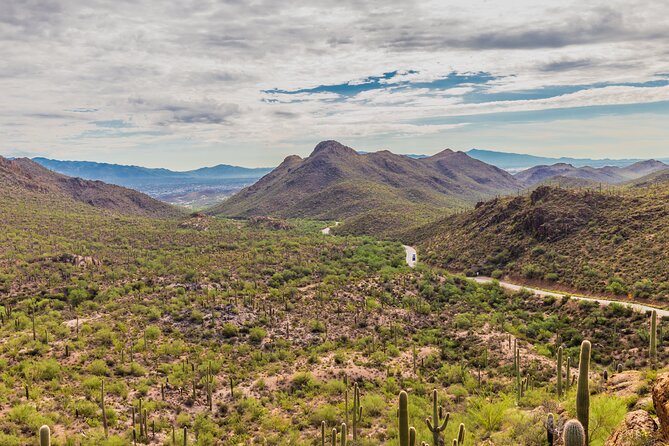 Saguaro National Park Self-Guided Audio Tour - Rincon Mountains, Javelina Rocks, and Freeman Homestead: the quieter stories late in the day