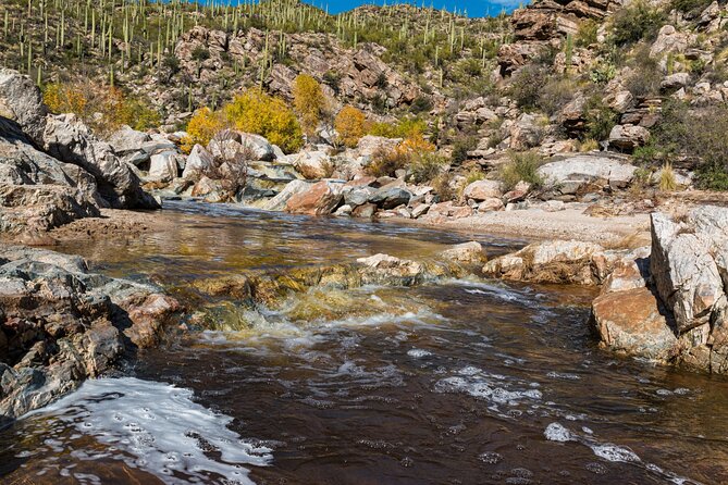 Saguaro NP and Mt. Lemmon Self Guided Driving Audio Tour Bundle - East Saguaro trails and the Rincons: from CCC-built paths to petroglyphs