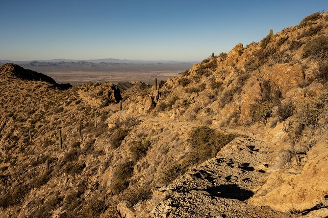 Saguaro NP and Mt. Lemmon Self Guided Driving Audio Tour Bundle - Should you book this audio bundle for Tucson and Mount Lemmon?