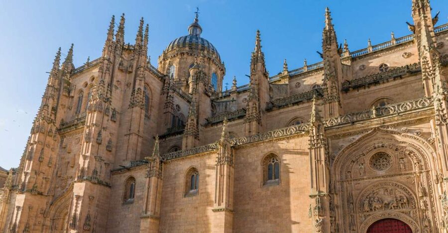 Salamanca: Cathedral of Salamanca Ticket with Audio Guide - The Gothic Theater: Vaults, Carvings, and Light Through Glass