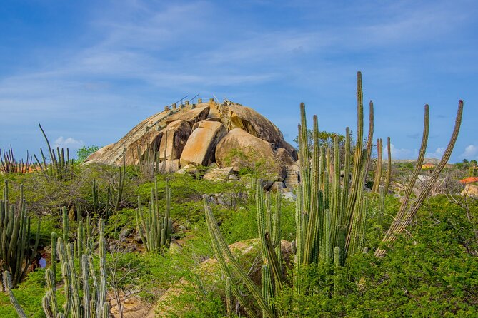 Scenic Aruba Self-Guided Driving and Walking Audio Tour - Driving + walking route: the Aruba sights, stop by stop