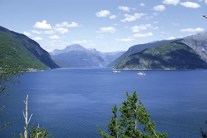 Self-Guided 22-Hour Round Trip From Oslo To Sognefjord With Flåm Railway - Flåm: quick time for lunch, photos, and perspective