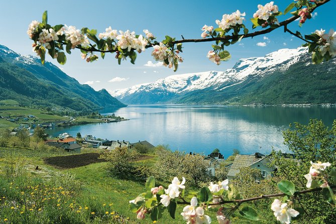 Self-Guided 22-Hour Round Trip From Oslo To Sognefjord With Flåm Railway - Fjord cruise from Flåm to Gudvangen: Aurlandsfjord to Nærøyfjord