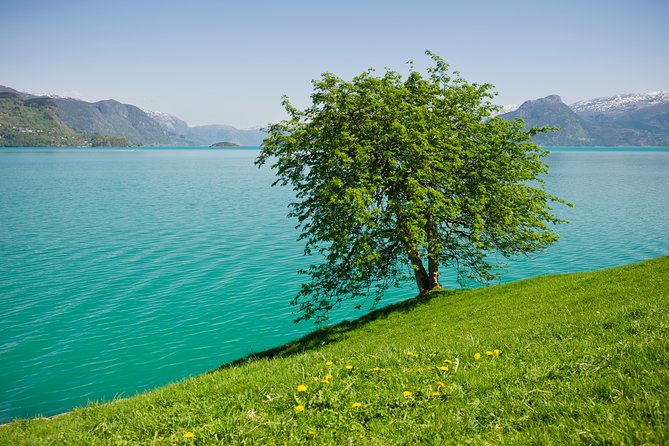 Self-Guided 22-Hour Round Trip From Oslo To Sognefjord With Flåm Railway - Gudvangen to Voss by bus: Stalheimskleiva seasonally, mountain views always