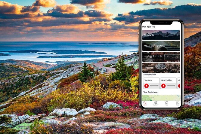 Self-Guided Audio Driving Tour in Acadia National Park - Stop-by-stop: lighthouses, summit views, and coastline power