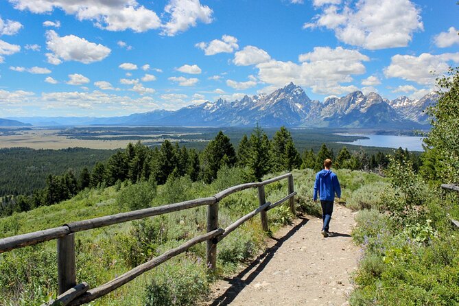 Self-Guided Audio Driving Tour in Grand Teton National Park - Practical Driving Notes: Parking, Wildlife, and Phone Power