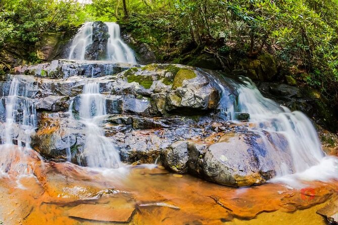 Self-Guided Audio Driving Tour in Great Smoky Mountains - Road closure note near Newfound Gap (don’t let it surprise you)