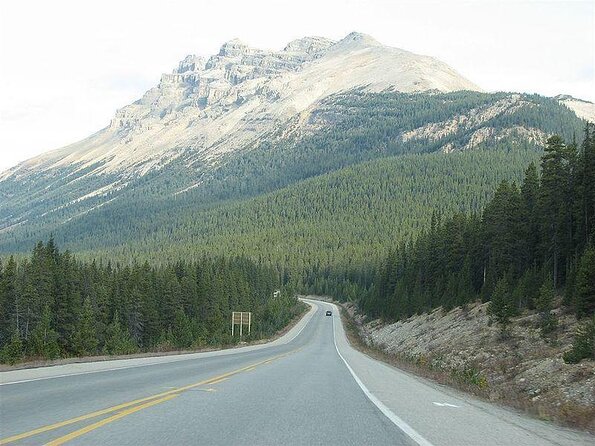 Self-Guided Audio Driving Tour in Icefields Parkway - Key Things That Make This Self-Guided Icefields Parkway Audio Tour Worth It