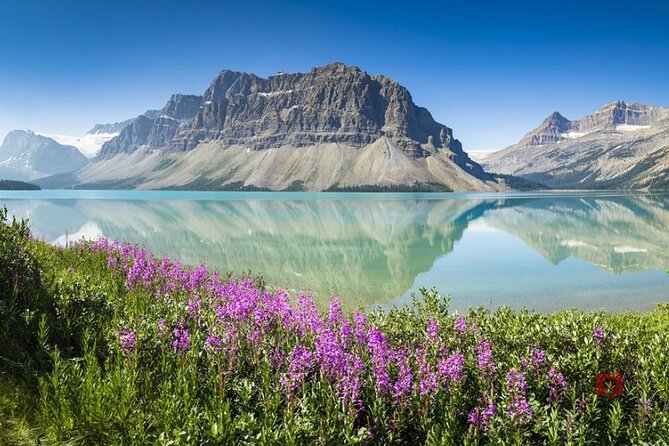Self-Guided Audio Driving Tour in Icefields Parkway - Stop-by-Stop on the Icefields Parkway: The Stops You’ll Use the Most