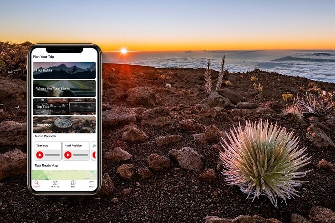 Self-Guided Audio Driving Tour in Maui - Ocean wildlife and blowholes: Papawai, Nakalele, and the viewpoint loop