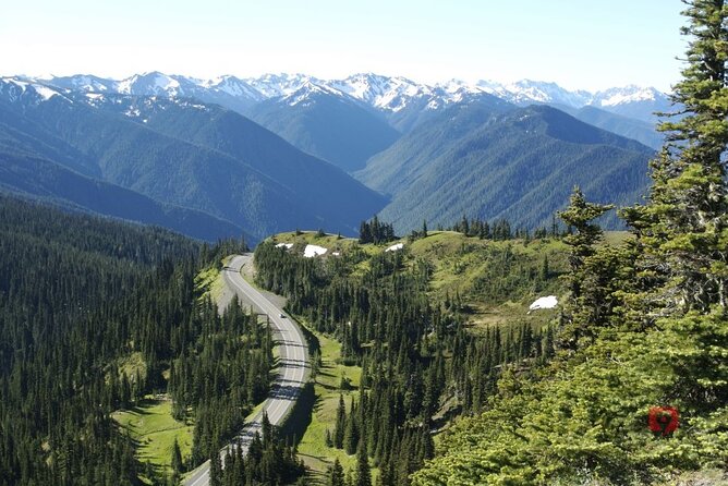 Self-Guided Audio Driving Tour in Olympic National Park - Hoh Rain Forest: where the audio helps you read the forest