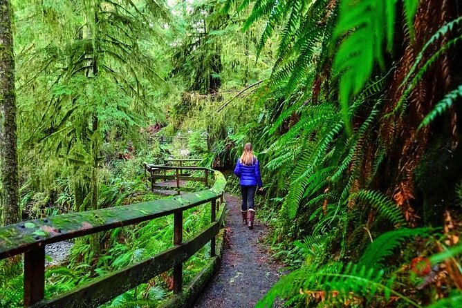 Self-Guided Audio Driving Tour in Olympic National Park - Hurricane Ridge: the easiest alpine access with real choices