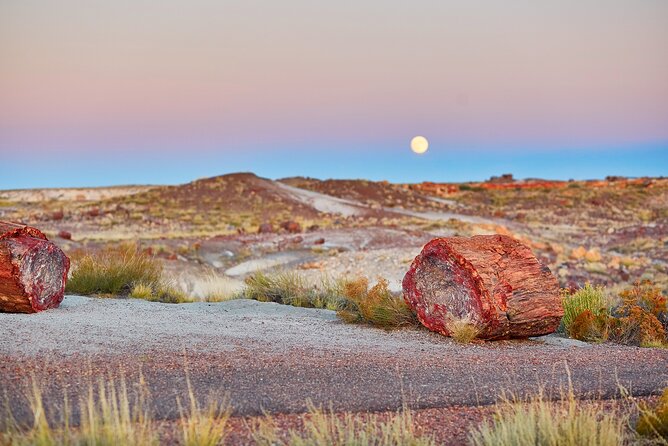 Self-Guided Audio Driving Tour in Petrified Forest National Park - A Painted Desert morning: Visitor Center to Newspaper Rock