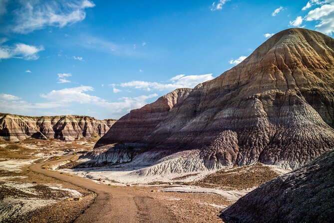 Self-Guided Audio Driving Tour in Petrified Forest National Park - Jasper Forest and Crystal Forest Trail: walking among petrified trees