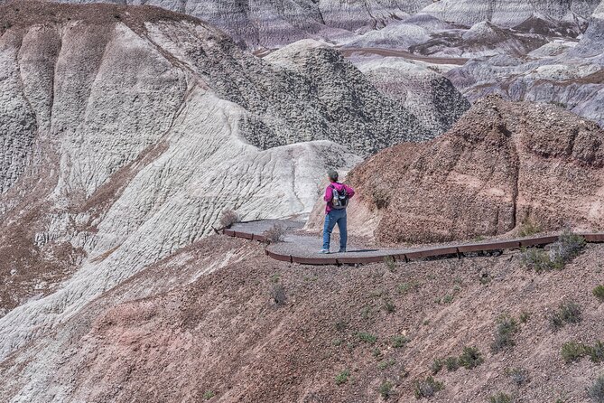 Self-Guided Audio Driving Tour in Petrified Forest National Park - Price and value: $19.99 for up to 8 people over 9 to 10 hours