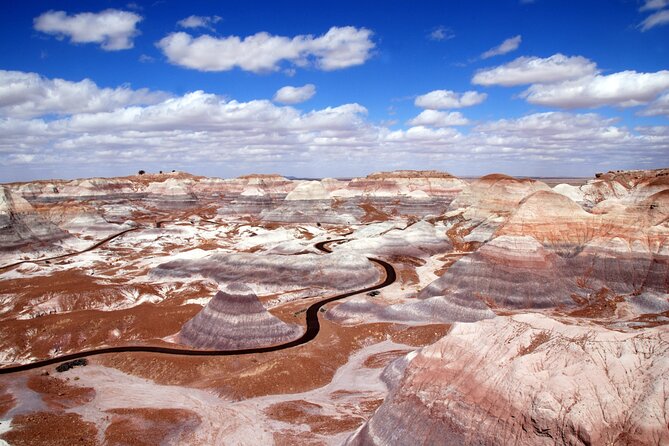 Self-Guided Audio Driving Tour in Petrified Forest National Park - Practical tips so your audio sync doesn’t get annoying